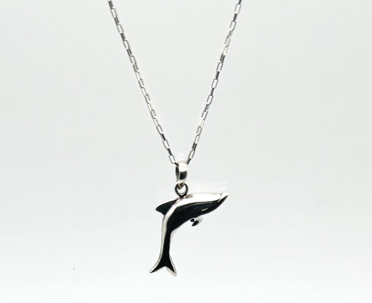 Adorable Silver Dolphin